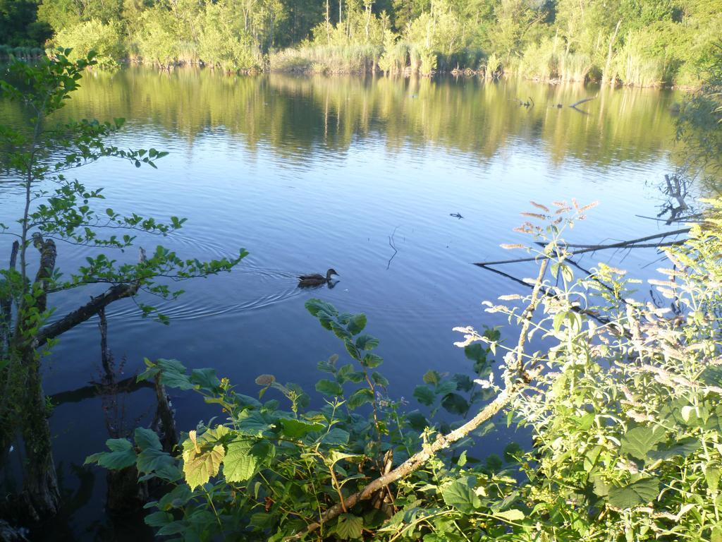 Apartament Storchennest Bad Säckingen Zewnętrze zdjęcie