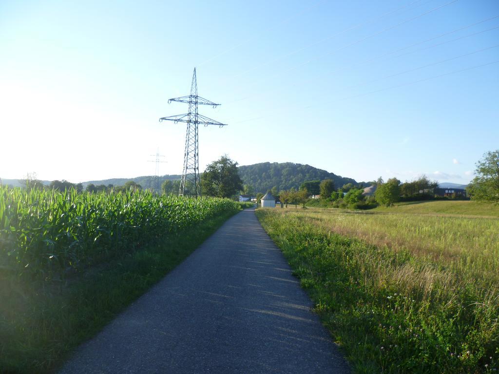 Apartament Storchennest Bad Säckingen Zewnętrze zdjęcie