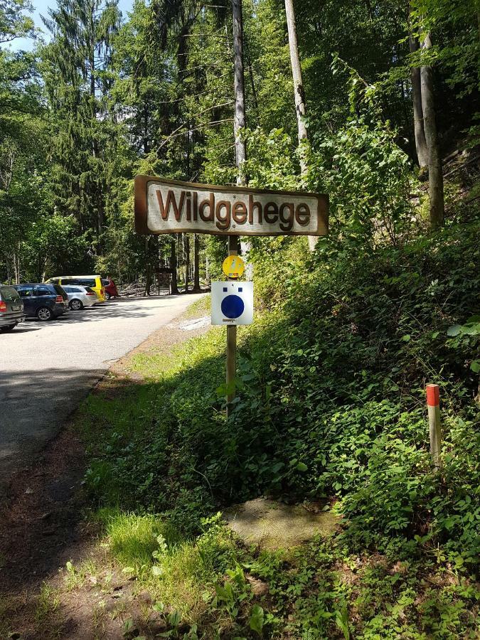 Apartament Storchennest Bad Säckingen Zewnętrze zdjęcie