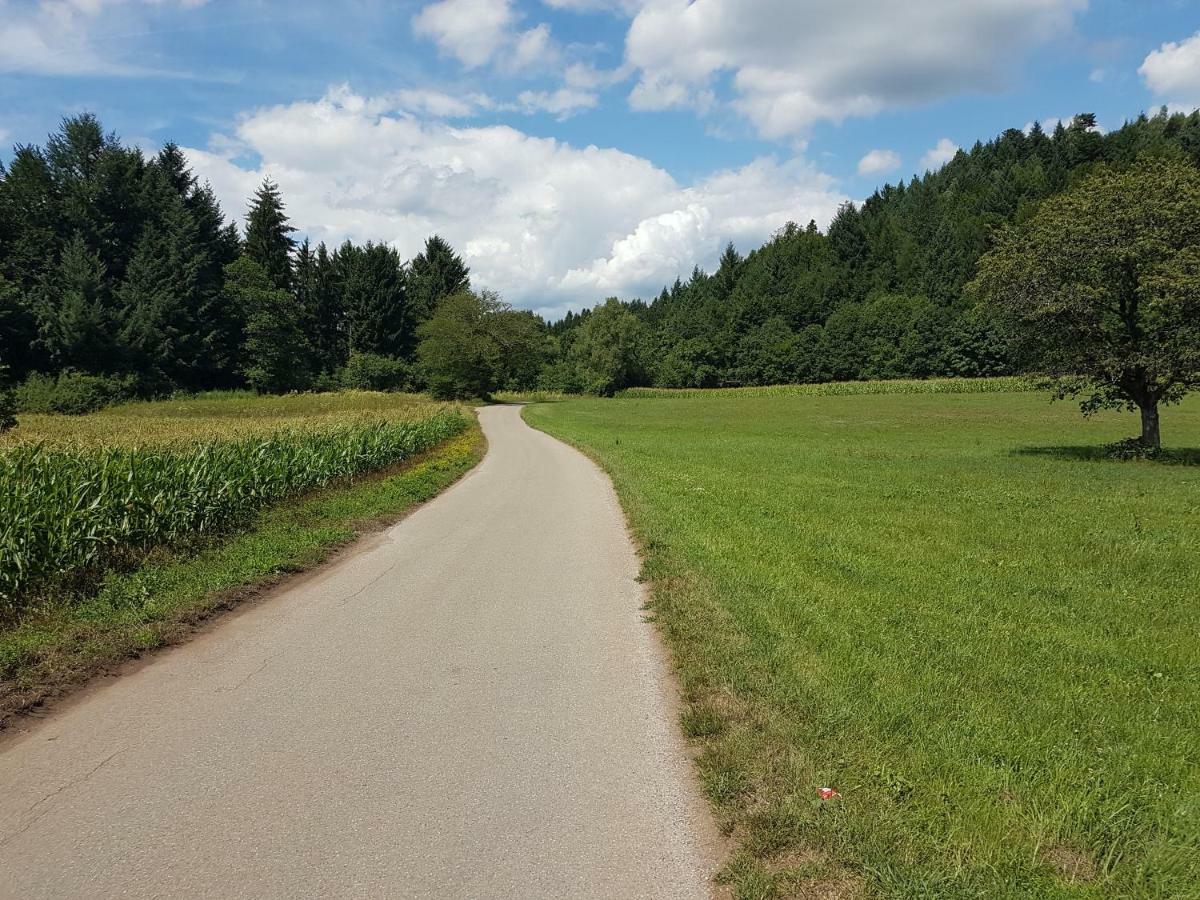 Apartament Storchennest Bad Säckingen Zewnętrze zdjęcie