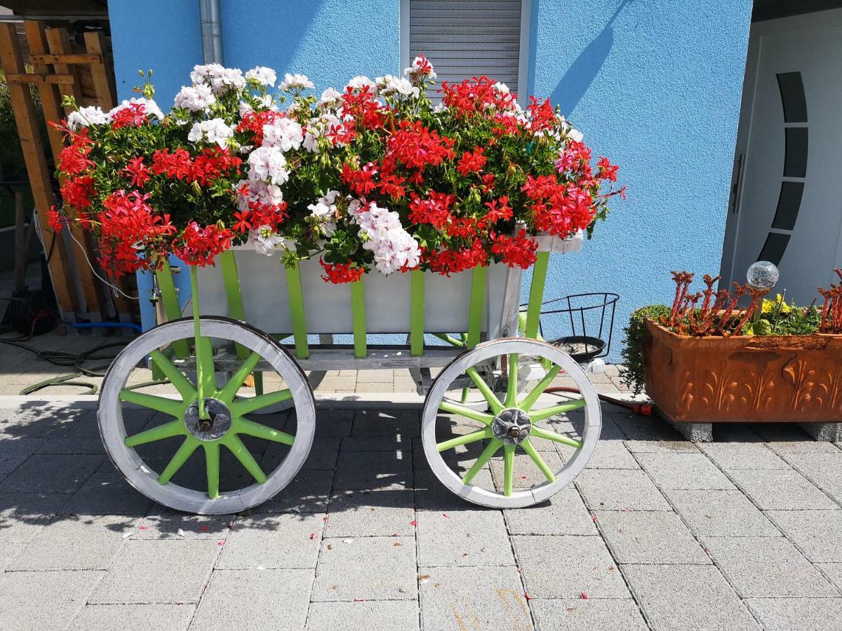 Apartament Storchennest Bad Säckingen Zewnętrze zdjęcie